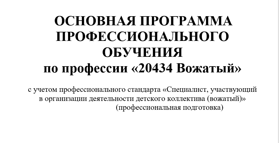 ОСНОВНАЯ ПРОГРАММА ПРОФЕССИОНАЛЬНОГО ОБУЧЕНИЯ по профессии  «20434 Вожатый»